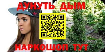 стаф Шахты