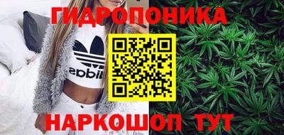 твердый Партизанск