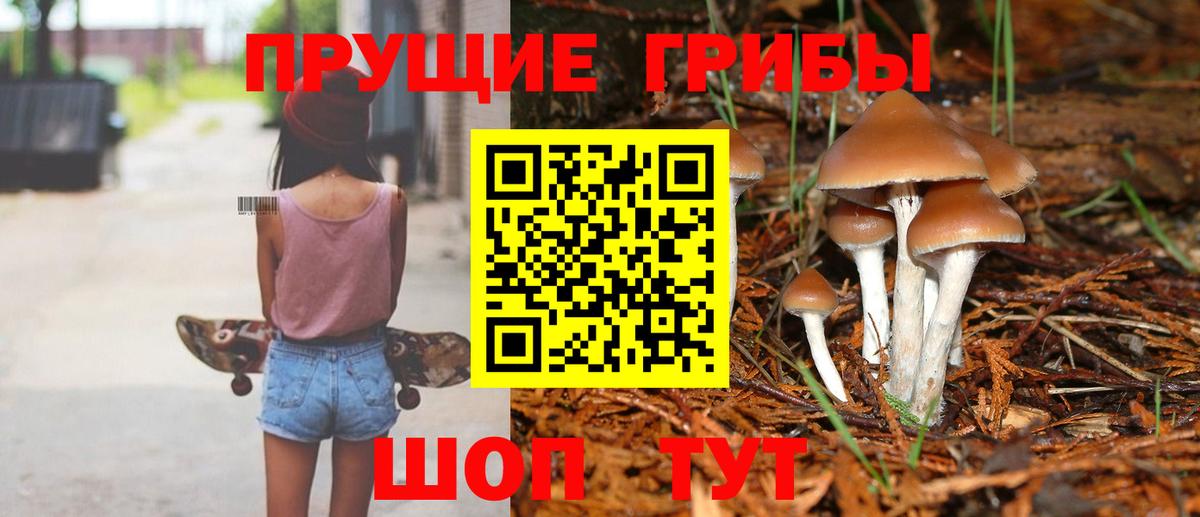Псилоцибиновые грибы ЛСД  где купить наркоту  Галлюциногенные грибы мицелий  Алексеевка  Вход с VPN 